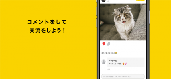 ペット投稿専用SNSアプリ「ペットじまん」iOS/Android にて配信を開始しました。