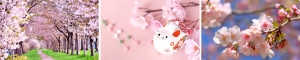 春よ来い！オタ婚☆オンラインお花見キャンペーン！