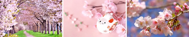 春よ来い！オタ婚☆オンラインお花見キャンペーン！
