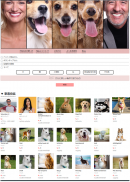 ペットのお世話が忙しい人＆動物を飼いたいけど飼えない人を繋ぐ動物愛好マッチングサービス " MAKUN "   月額￥800  で5月からついにサービス開始