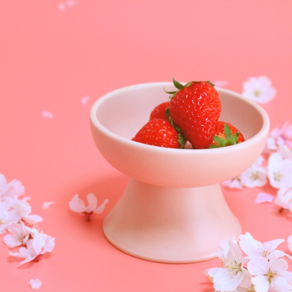 ペット用食器に含まれる“有害物質”から、大切な猫を守りたい！人と同じ安全基準をクリアした「猫用フードボウル」に、春の限定色”ピンク“が新登場