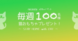 愛猫との"STAY HOME"を満喫！毎週100名様に猫おもちゃをプレゼント。猫好き専用SNSアプリ「ねこすた」