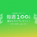 愛猫との