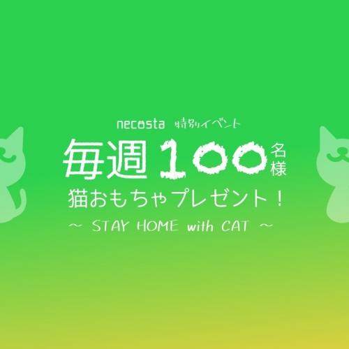 愛猫との"STAY HOME"を満喫！毎週100名様に猫おもちゃをプレゼント。猫好き専用SNSアプリ「ねこすた」