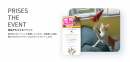 猫好き専用SNSアプリ「ねこすた」が、愛猫との"STAY HOME"を応援！毎週100名に猫おもちゃが当たるイベントが好評開催中、じゃれる猫たちの姿が続々投稿