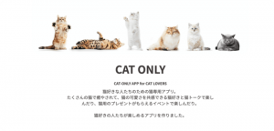 猫好き専用SNSアプリ「ねこすた」が、愛猫との"STAY HOME"を応援！毎週100名に猫おもちゃが当たるイベントが好評開催中、じゃれる猫たちの姿が続々投稿