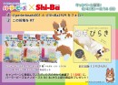 アイロンですぐにくっつくパーラービーズでオリジナルコーギーを作る！Shi-Baとパーラービーズがコラボしておうちのなかで家族で楽しむTwitterプレゼント