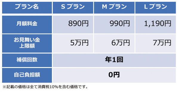 夏休みで利用が増えるWi-Fiスポットサービスで日本ＰＣサービス・ワイヤレスゲート・レスキュー損害保険が協業【スマホ保険付きプラン】を全国のヨドバシカメラでを本格展開！