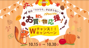 【最大50％OFF】Leawo 秋のお買い物応援 Ｗチャンスキャンペーン開催中！Amazonギフト券も当たるよ～