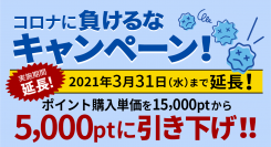 2021年1月1日（金）～3月31日（水）【コロナに負けるなキャンペーン期間延長】より使いやすくなったNetReal+が5,000円から使えます。