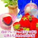 日本最大級のポイント還元サイト「リラポ‐Relapo‐」で3月1日、楽天市場「リュウショウの広場」販売商品の一部が掲載開始
