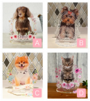 「Pic-do!」からペットのメモリアル専用アクリルフィギュアを限定価格で提供、6月1日(火)12：00より​​CAMPFIRE にてプロジェクト開始！