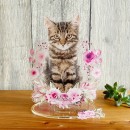 “ペットの写真で作るアクリルフィギュア「Pic-Do!（ピクドゥ）for Pets」”が、ペットとの思い出をかたちにするカテゴリー「メモリアル」提供開始