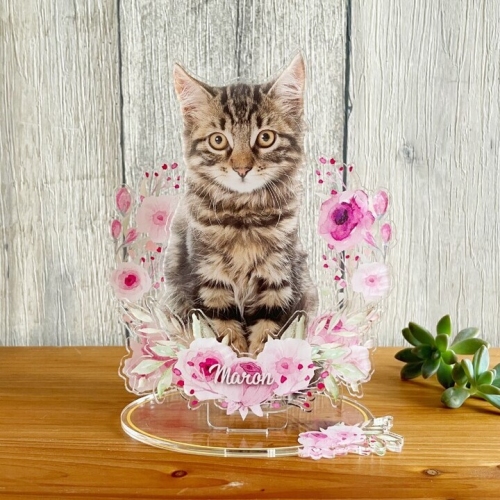 “ペットの写真で作るアクリルフィギュア「Pic-Do!（ピクドゥ）for Pets」”が、ペットとの思い出をかたちにするカテゴリー「メモリアル」提供開始