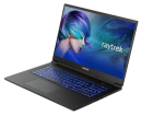 【レイトレックより】sRGBカバー率　約100%の高色域、高精細液晶を搭載　17インチサイズ ハイエンドクリエイター向けノートPC発売
