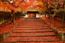 京都・東京ベイエリアを巡る贅沢プラン。上質な食・体験・宿泊が一度に味わえる“至福のおとな旅”。