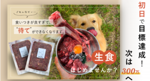話題の”生肉”ペットフード「HUGBOXブレンド」、CAMPFIRE公開初日で目標達成！