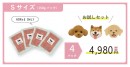 話題の”生肉”ペットフード「HUGBOXブレンド」、CAMPFIRE公開初日で目標達成！