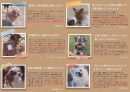 話題の”生肉”ペットフード「HUGBOXブレンド」、CAMPFIRE公開初日で目標達成！