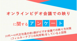 20代～40代正社員の約3割がビデオ会議での映り方対策(フィルターアプリの利用等)をしていると回答【オンラインビデオ会議での映りに関するアンケート】