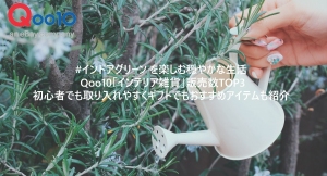 #インドアグリーン を楽しむ穏やかな生活  Qoo10「インテリア雑貨」販売数TOP3 初心者でも取り入れやすくギフトでもおすすめアイテムも紹介