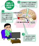泣き習慣をつけてストレスフリーな生活に～ストレス解消と免疫力アップのお供に「涙活アプリ　泣いてデトックス」リニューアルで言語設定機能追加～