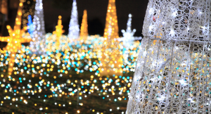 クリスマスに向けてマッチングアプリを使ったことはある？アプリで出会った人とのXmasエピソード特集！