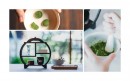 【新ブランド】伝統工芸品を世界に販売するECサイト「BECOS」が宇治抹茶のお香「インセンスキッチン」の取り扱いを開始