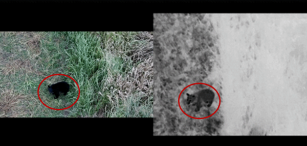 福島県昭和村とNTTドコモビジネス、セルラードローン Skydio X10を活用した熊対策を開始