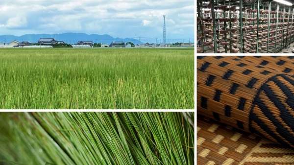 【新ブランド】伝統工芸品を世界に販売するECサイト「BECOS」が萩原株式会社の「い草製品・カーペット・ラグ」の取り扱いを開始！