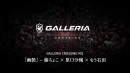 【GALLERIA】ジャンルを超えたクリエイターによるコラボ企画始動　GALLERIA CROSSING　第一弾　幽艶　藤ちょこ氏・原口沙輔氏・もう石田氏が参加