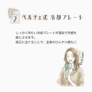 ペルチェ冷却プレート