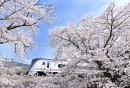 【ドスパラ】鉄道写真家・助川康史氏に学ぶ　“魅力的な鉄道写真”　撮影講座　5月28日（木）20時より開催　参加者募集中