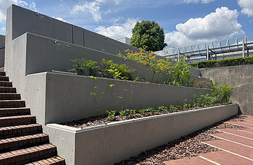 安藤ハザマ技術研究所がSEGES(社会・環境貢献緑地評価システム)の「そだてる緑」部門で「Excellent Stage2」認定を取得