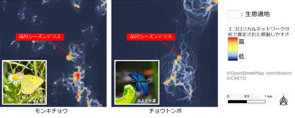 品川港南エリアにおいて自然資本モニタリングソリューションを活用しエコロジカルネットワークの形成を確認